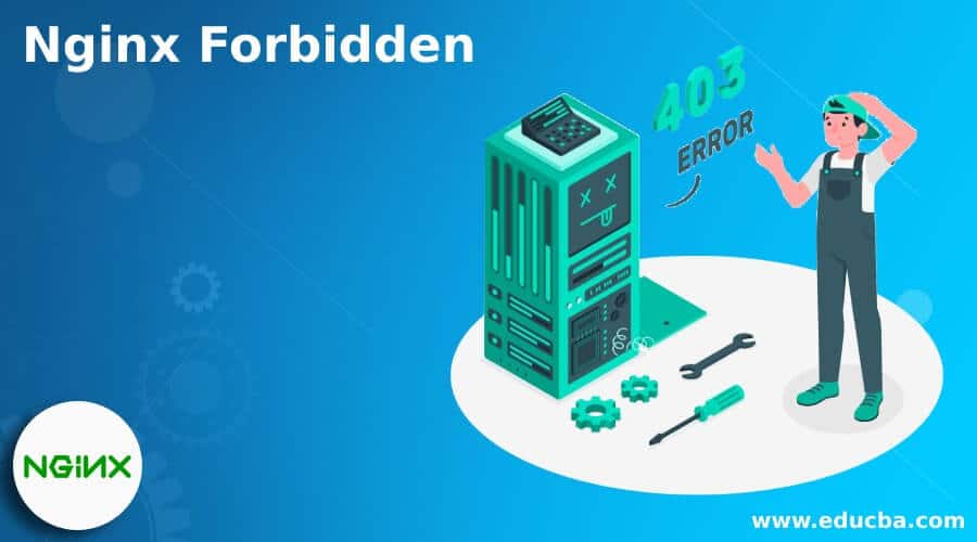 Lỗi 403 Forbidden là gì? Cách khắc phục đơn giản trong 7 phút